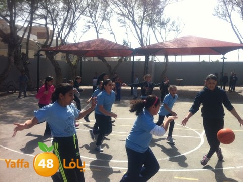 basket7san3arafa (10).JPG